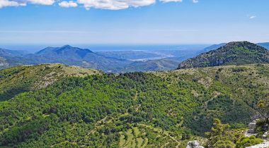 En Région Provence-Alpes-Côte d’Azur, un COTECH qui roule… - CORPORATE