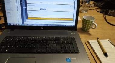 Retour sur les ateliers Apidae chez vous - saison 2