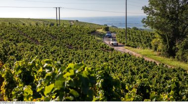 Un nouveau site mobile dédié à la route des vins du Beaujolais